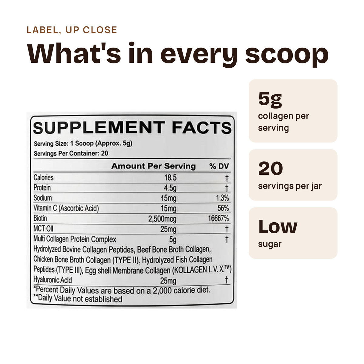 A product information graphic on a white background with the heading 'What's in every scoop.' It includes a supplement facts panel and two beige callout boxes stating '5g collagen per serving,' '20 servings per jar,' and 'Low sugar.