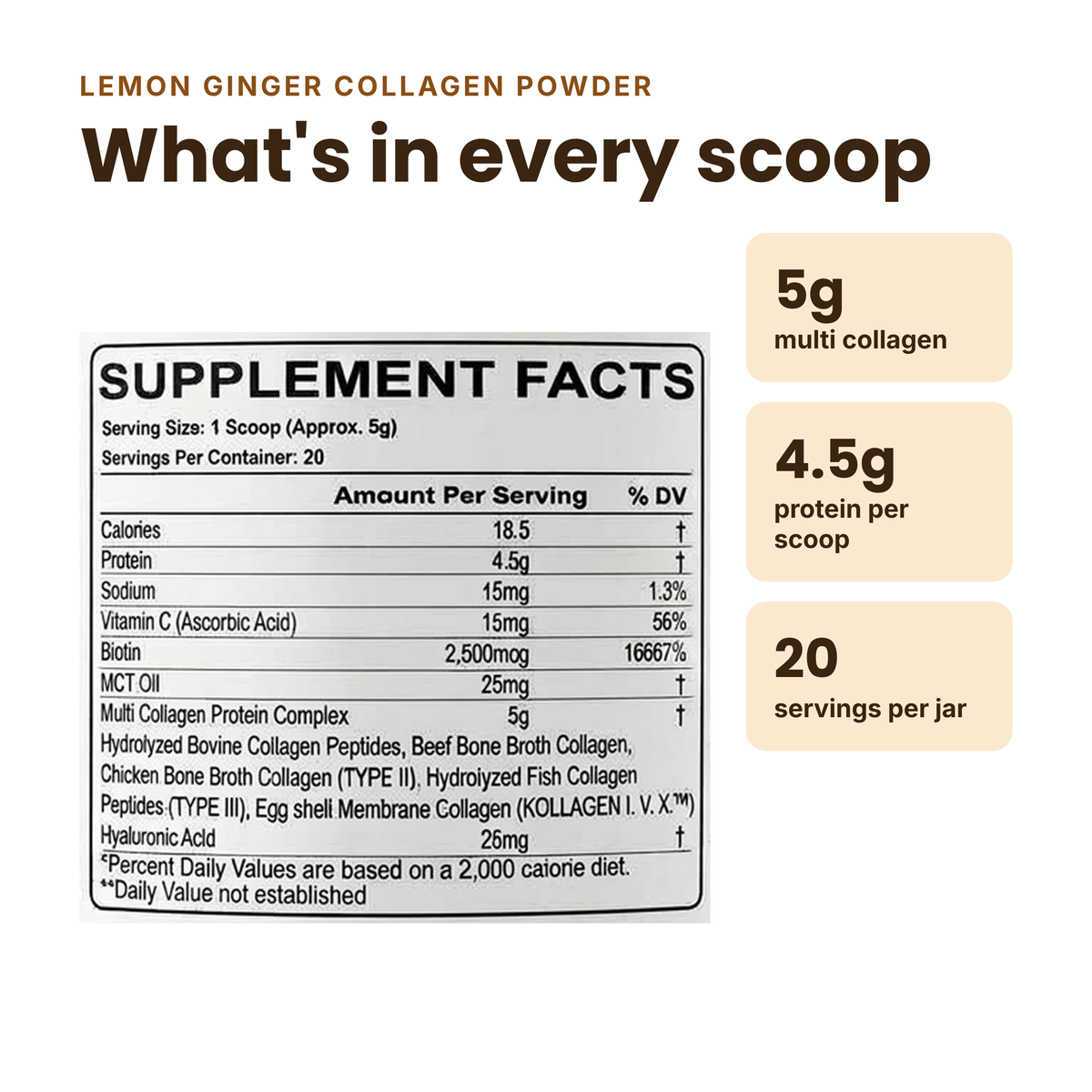 A product information graphic for lemon ginger collagen powder showing a supplement facts label and text callouts about the contents of each scoop: 5g multi collagen, 4.5g protein per scoop, and 20 servings per jar.