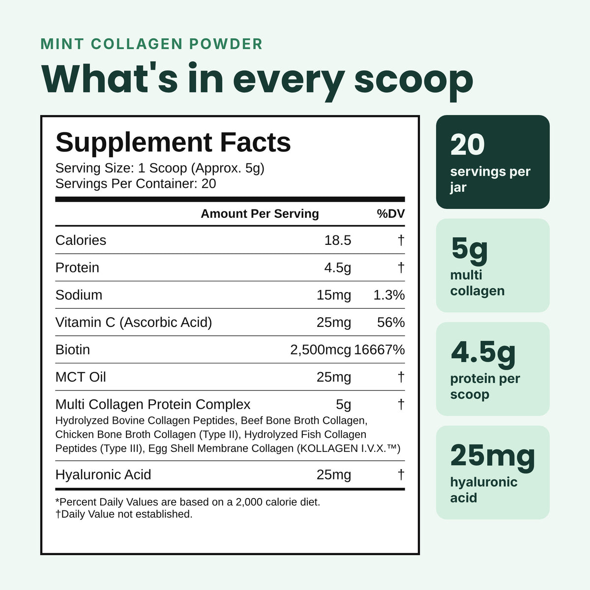 A supplement facts label for mint collagen powder with a supplement facts panel on the left and product benefits callouts on the right, including 20 servings per jar, 5g multi collagen, 4.5g protein per scoop, and 25mg hyaluronic acid.