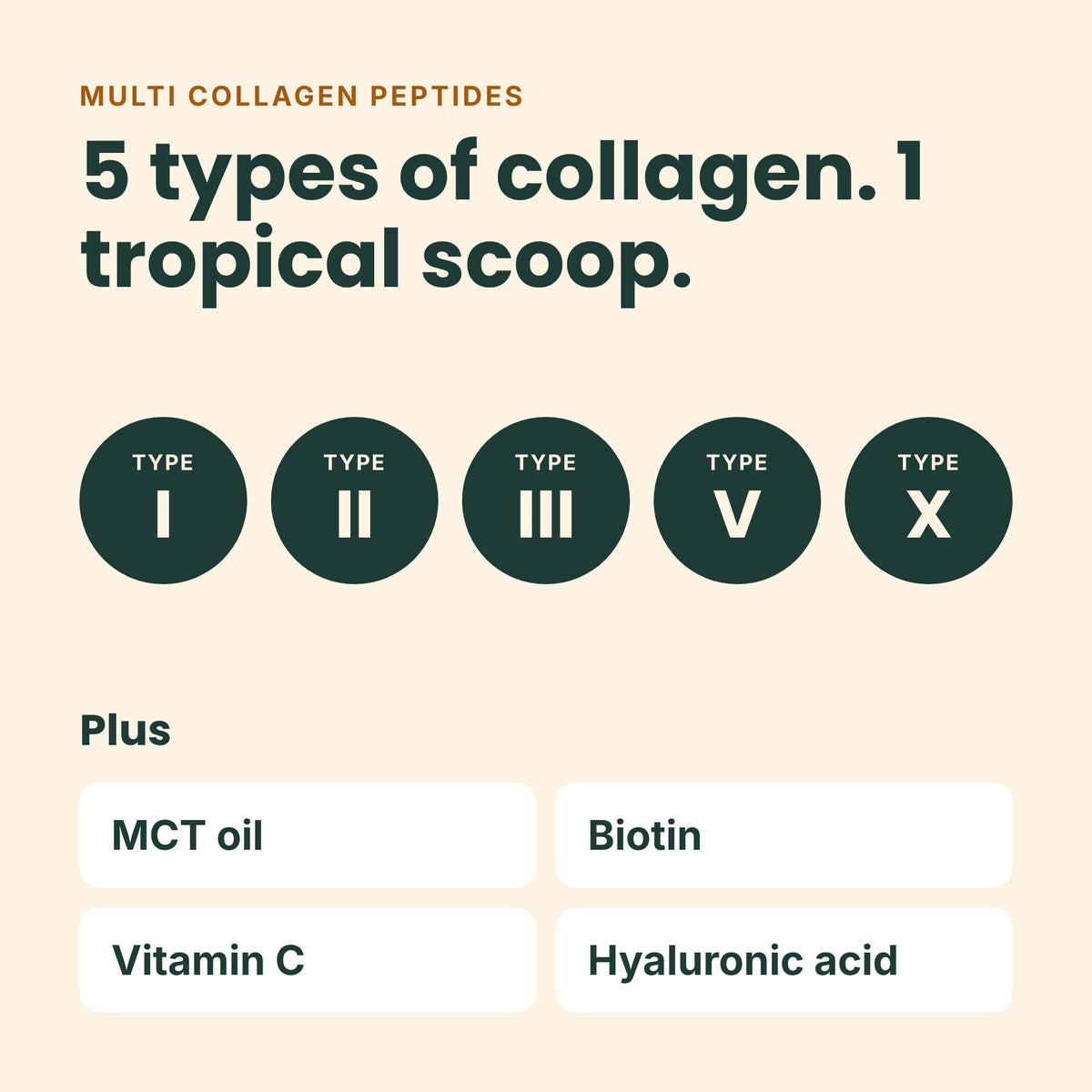 Promotional graphic for a multi collagen peptide product. The text reads 'MULTI COLLAGEN PEPTIDES' and '5 types of collagen.