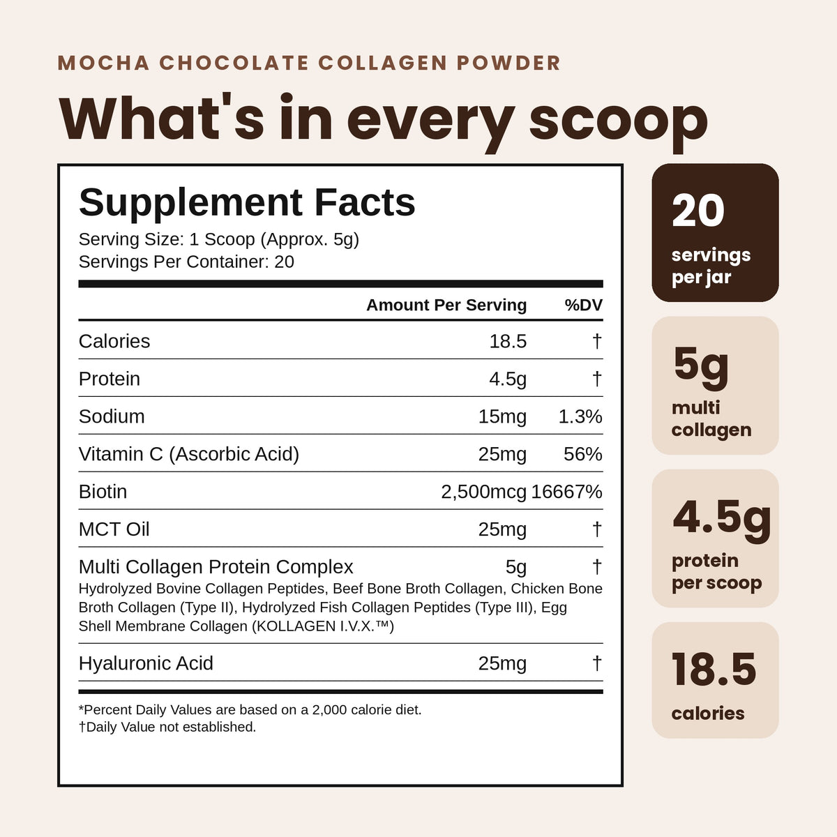 A supplement facts label for Mocha Chocolate Collagen Powder showing a nutrition panel with serving size 1 scoop (approx. 5g) and listed nutrients such as calories, protein, sodium, vitamin C, biotin, MCT oil, and hyaluronic acid.