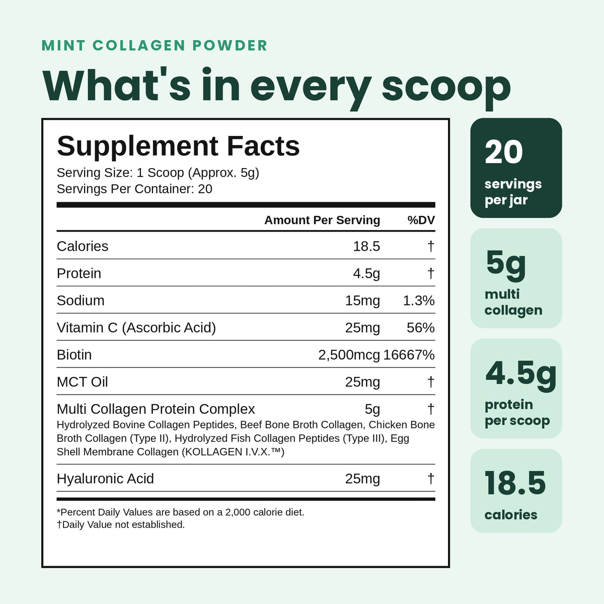 A mint green and white supplement facts label for a collagen powder product, with text reading 'What's in every scoop' and a supplement facts panel listing calories, protein, sodium, vitamin C, biotin, MCT oil, and hyaluronic acid. Right-side callouts state 20 servings per jar, 5g multi collagen, 4.