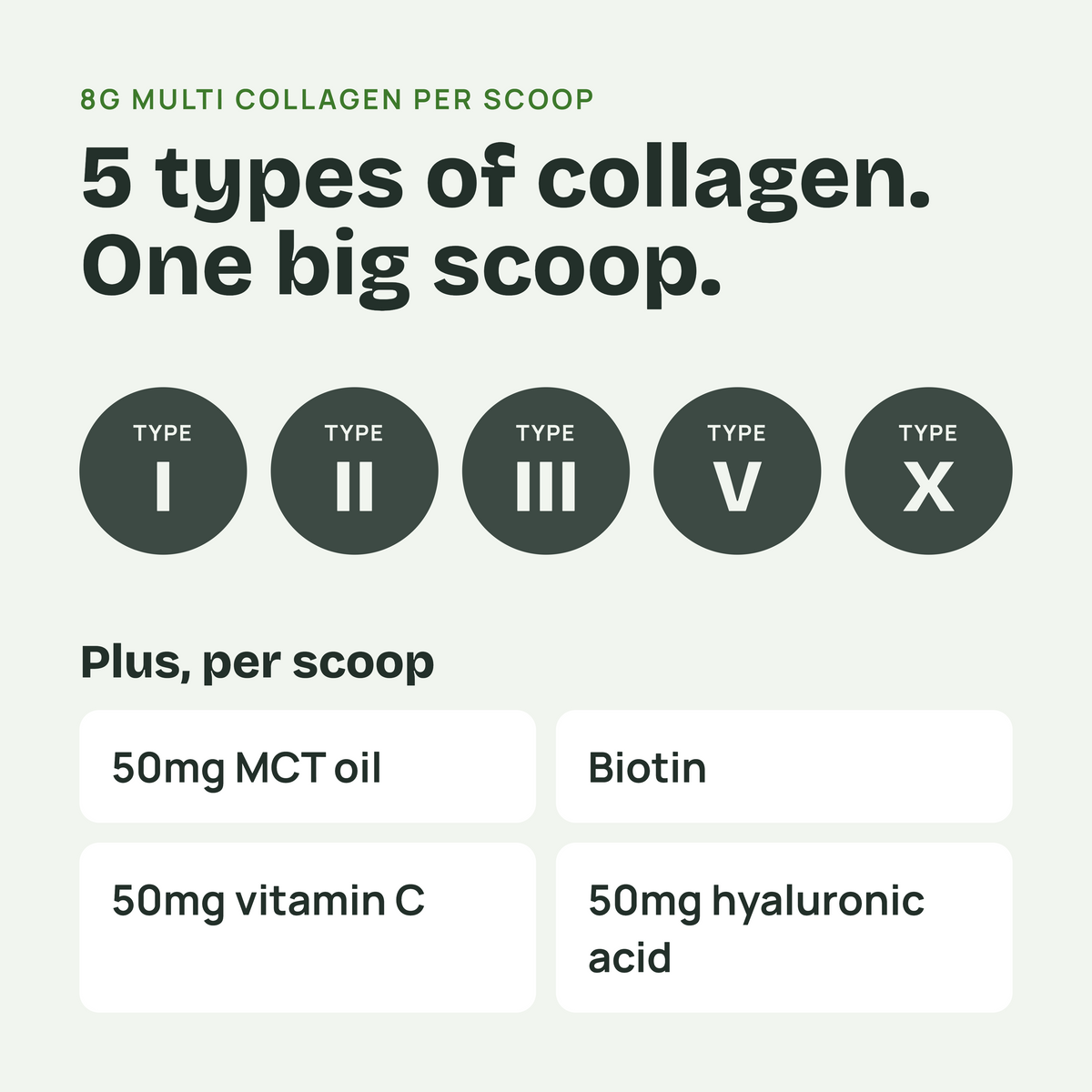 An informational graphic for a collagen supplement. The text reads '8G MULTI COLLAGEN PER SCOOP' and '5 types of collagen.