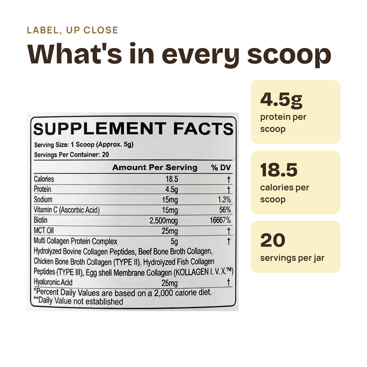 A supplement facts label graphic with the heading 'What's in every scoop' and callout boxes showing 4.5g protein per scoop, 18.