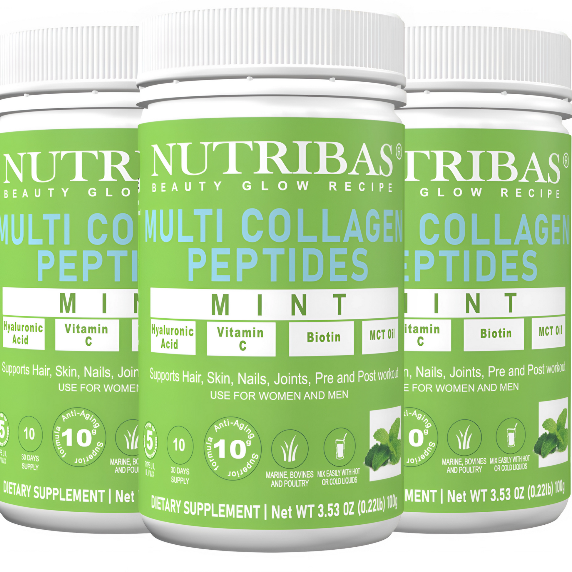 mint protein powder - 3 pack