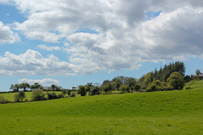 organic_collagen_powder_made_from_natural_ingredients_organic_food_supplement