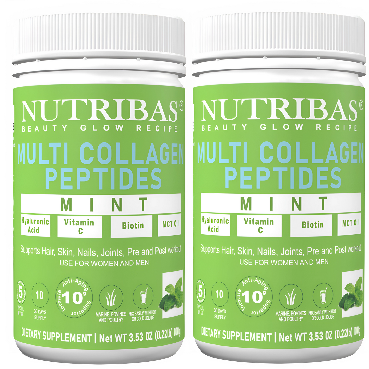 mint protein powder - 2 pack